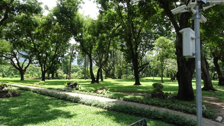 Binntal Landscape Park guide