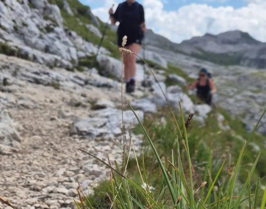Mannlichen to Kleine Scheidegg hike