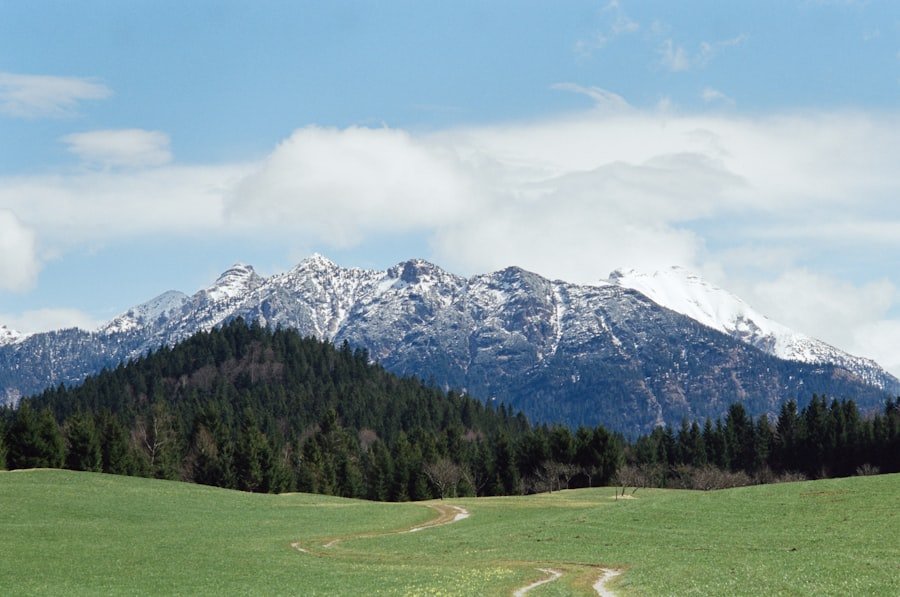 Schynige Platte Panorama Trail