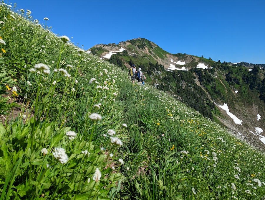 Stoos Ridge Hike