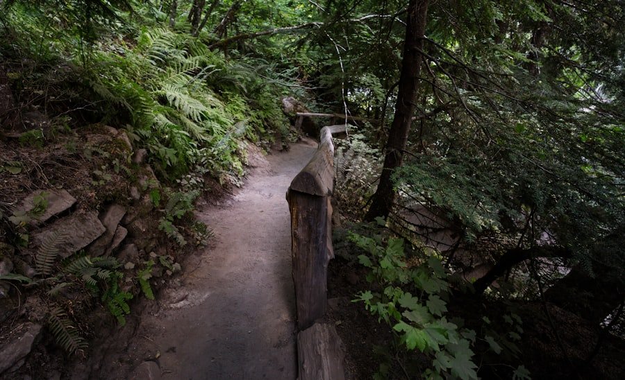 Bachalpsee hike best photo spots