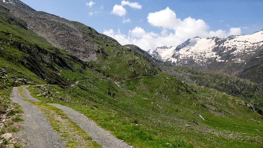 Aletsch Glacier trail