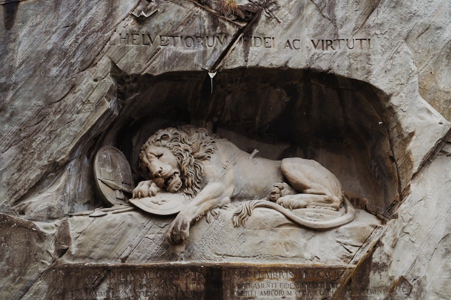 Photo visit Lion Monument