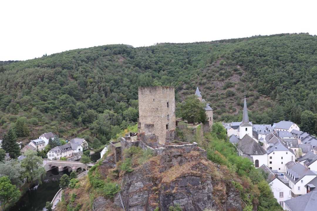 Photo Gruyeres Castle viewpoint