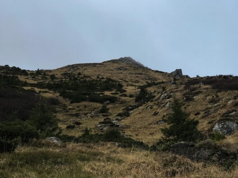 Photo Stoos ridge hike