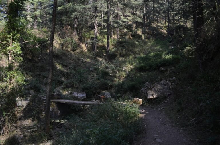 Photo Stoos ridge hike