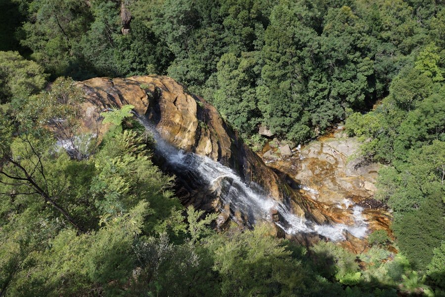 Photo Noccalula Falls guide