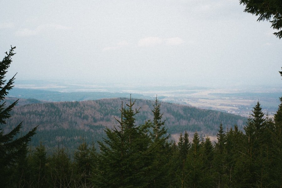 Photo Oeschinensee viewpoint