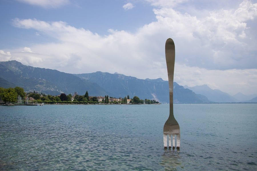 Photo Lavaux terraces