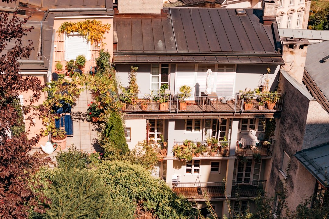 Photo Lavaux terraces travel guide