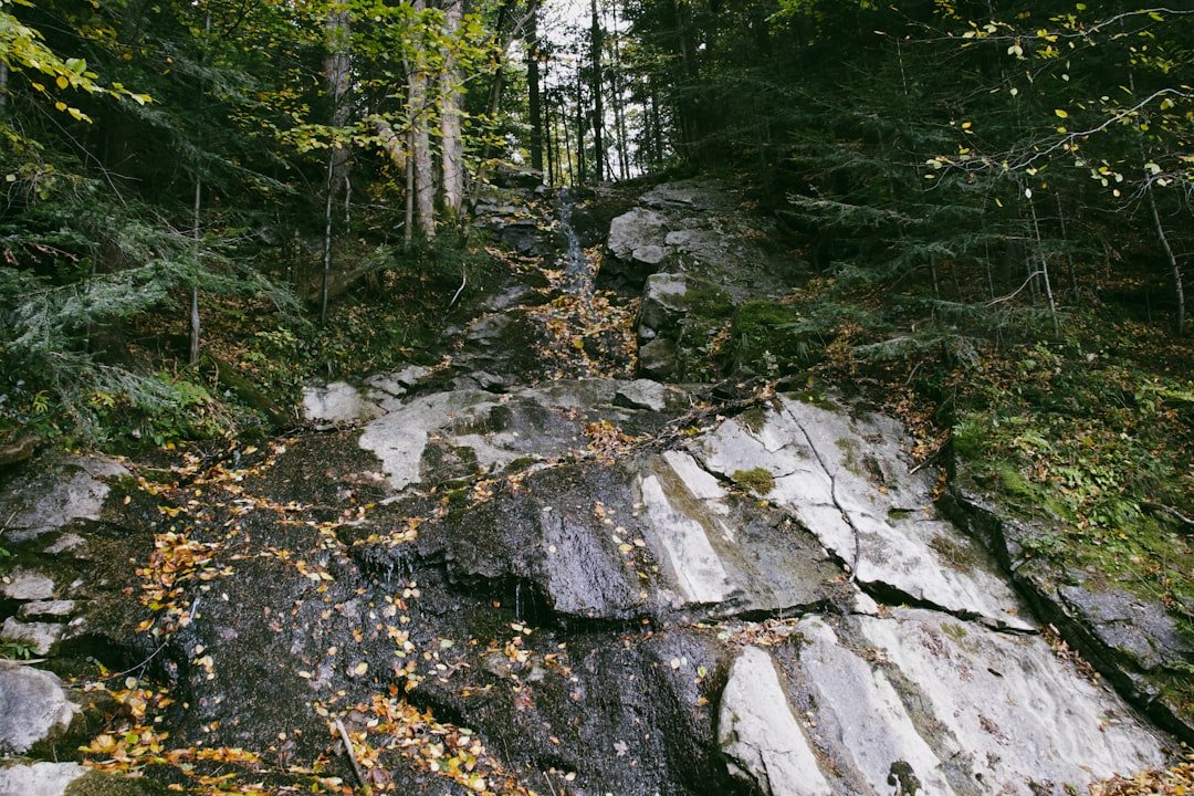 Photo Trummelbach Falls