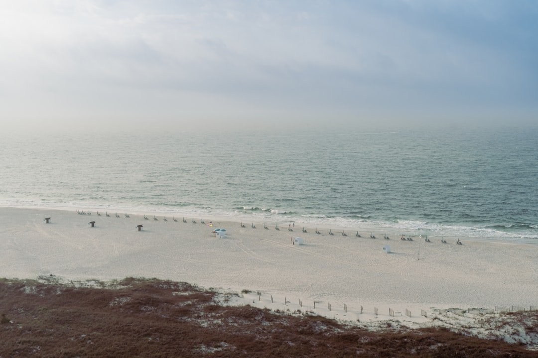 Photo Gulf Shores in winter