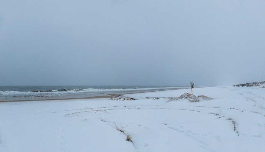 Photo Gulf Shores in winter