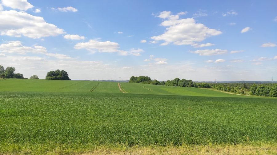 Photo visit Schynige Platte
