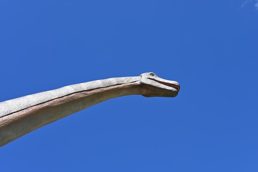 Photo Brienz Rothorn Bahn