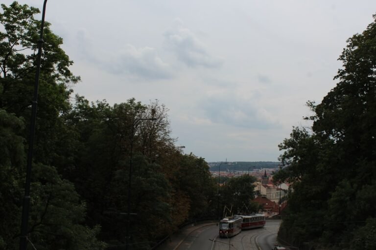 Photo Brienz Rothorn Bahn viewpoint