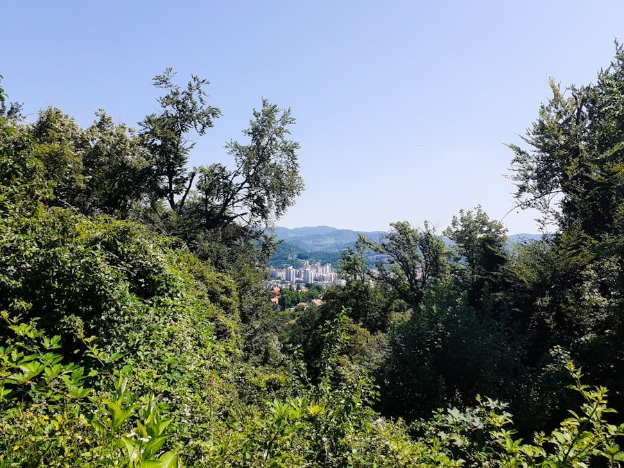 Photo Brienz Rothorn Bahn viewpoint