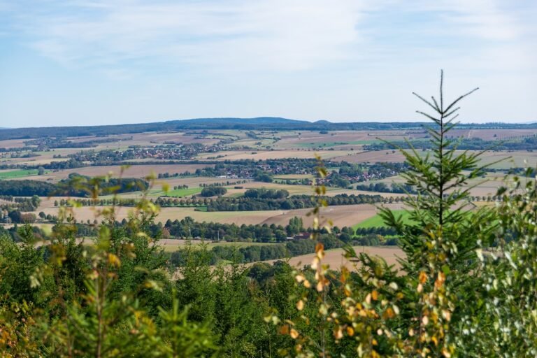 Photo Niederhorn viewpoint
