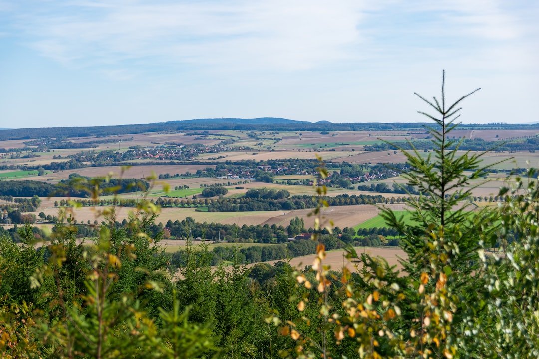 Photo Niederhorn viewpoint