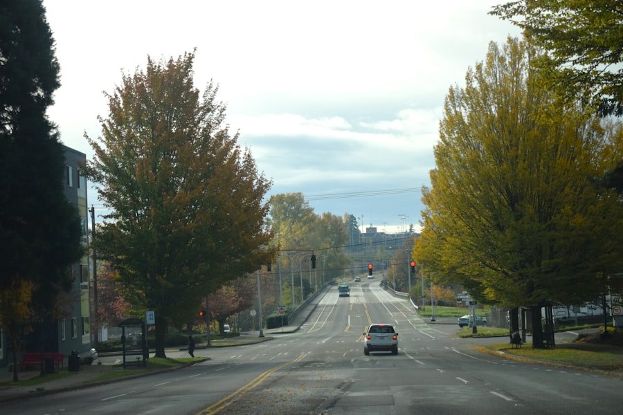 Photo day trips from Auburn