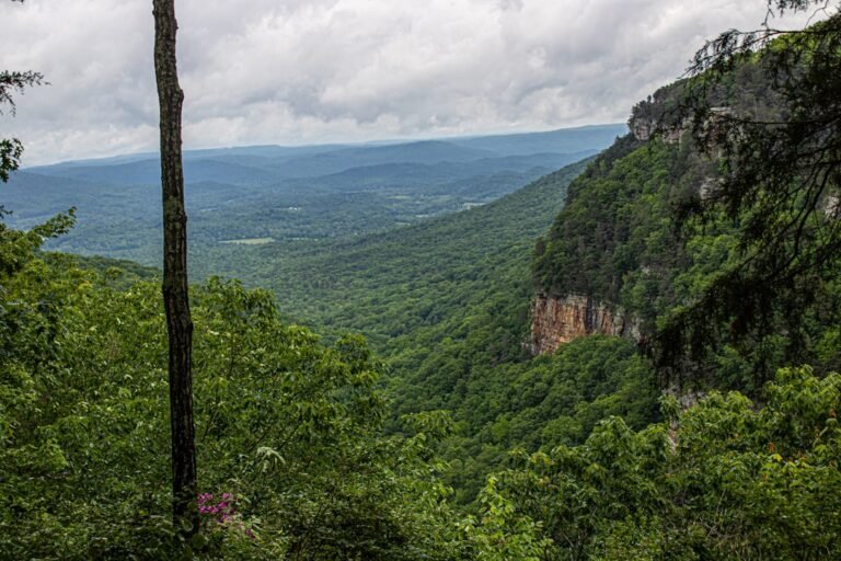 Photo Tuscaloosa travel guide