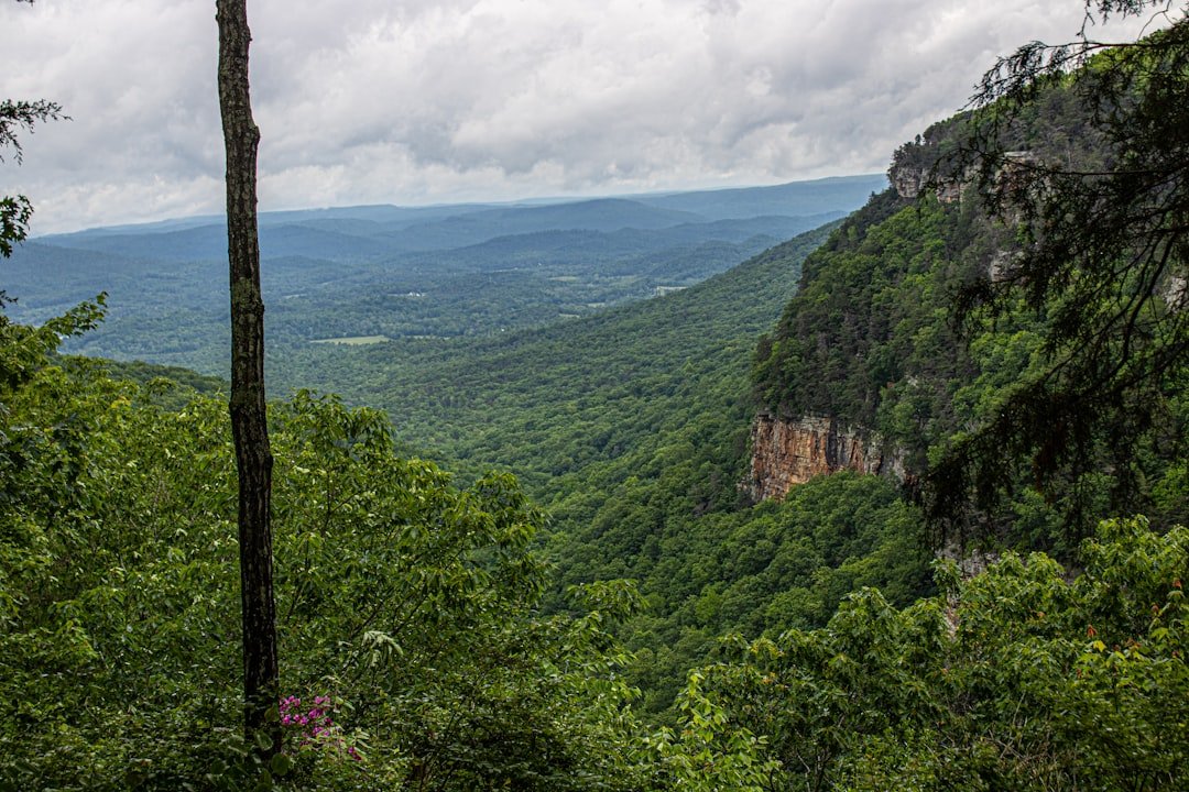 Photo Tuscaloosa travel guide