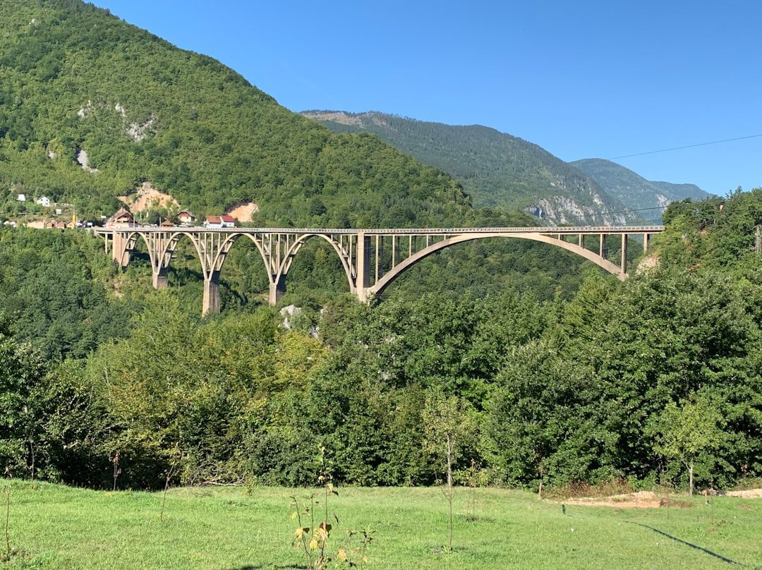Photo Lavertezzo bridge