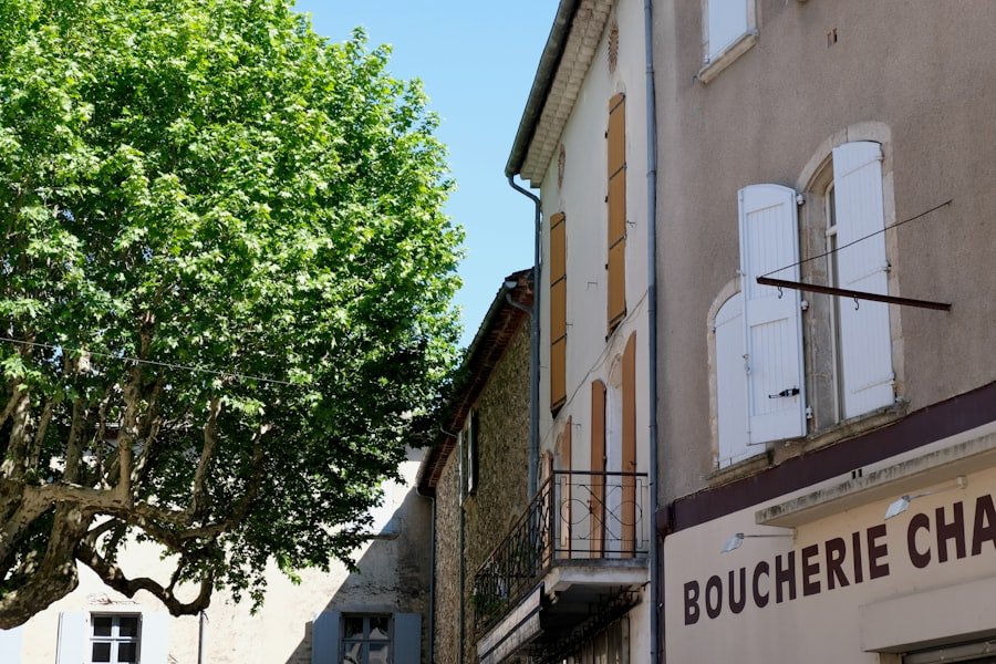 Dining with mountain views at Rochers de Naye