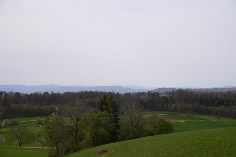 Photo Heidiland viewpoint