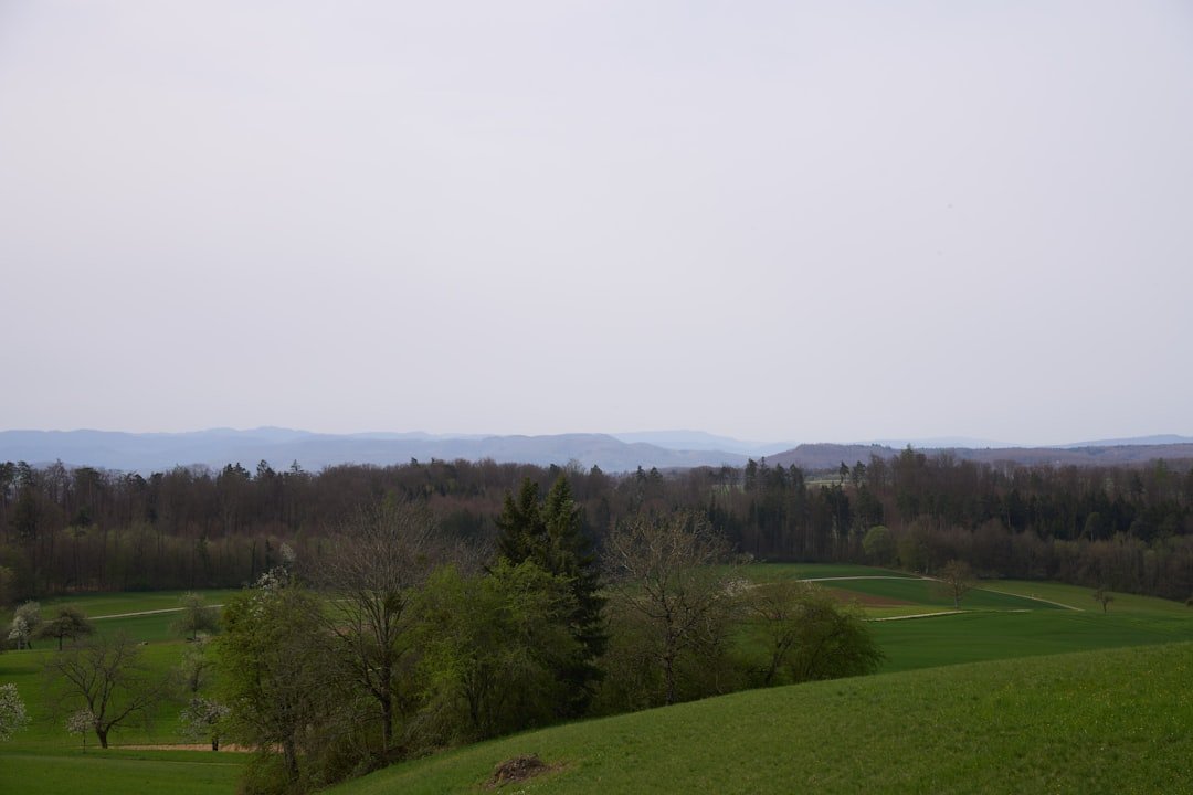Photo Heidiland viewpoint
