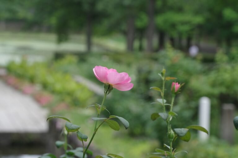 Photo Rosa Parks Museum guide