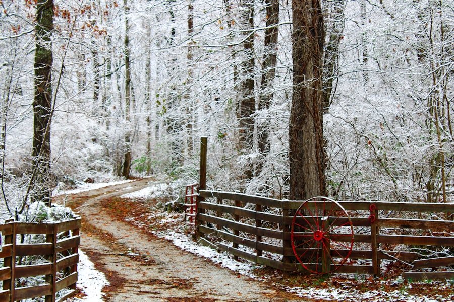 Photo Alabama in winter