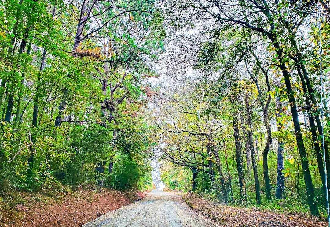 Photo scenic drives Alabama