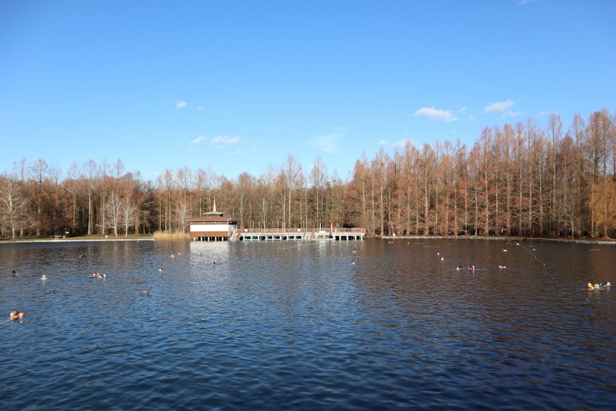 Photo Lake Gelmer