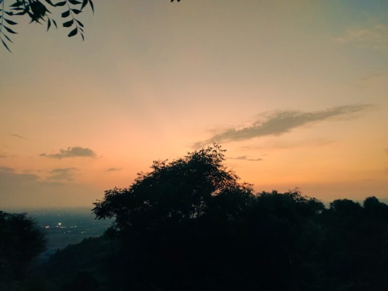 Photo Bernina Express views