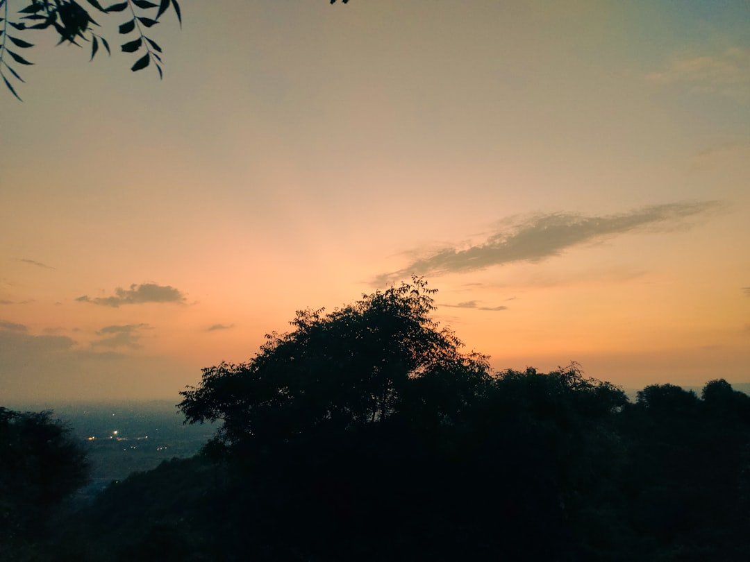 Photo Bernina Express views