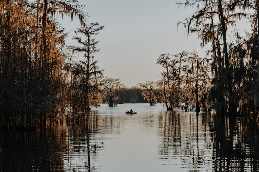 Photo Alabama travel guide