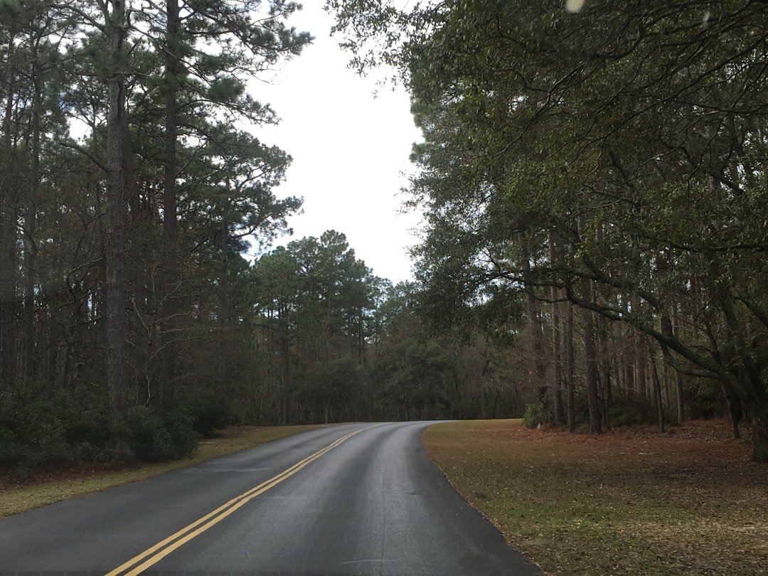 Photo Alabama tourism