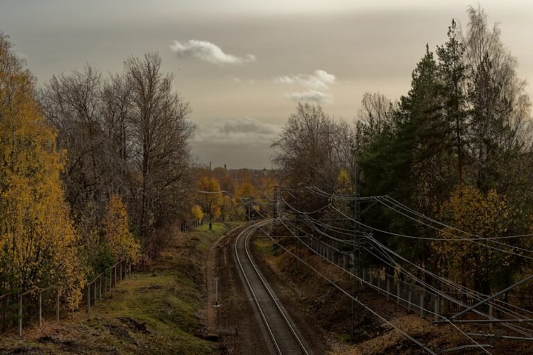 Photo Brienz Rothorn Railway views