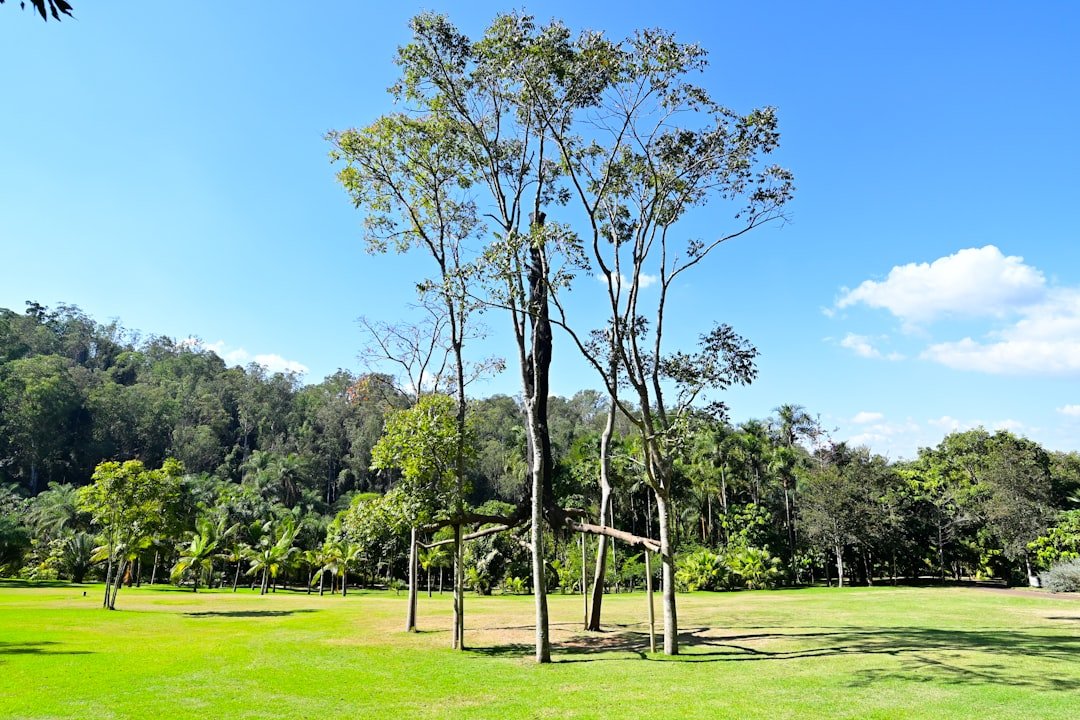 Photo Binntal Landscape Park guide