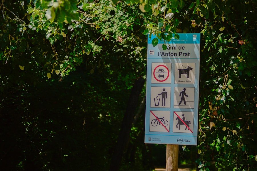 Photo Binntal Landscape Park guide