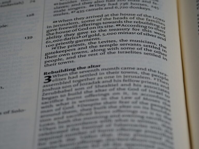 Photo Titlis Rotair guide