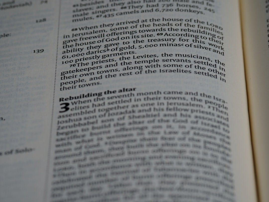 Photo Titlis Rotair guide