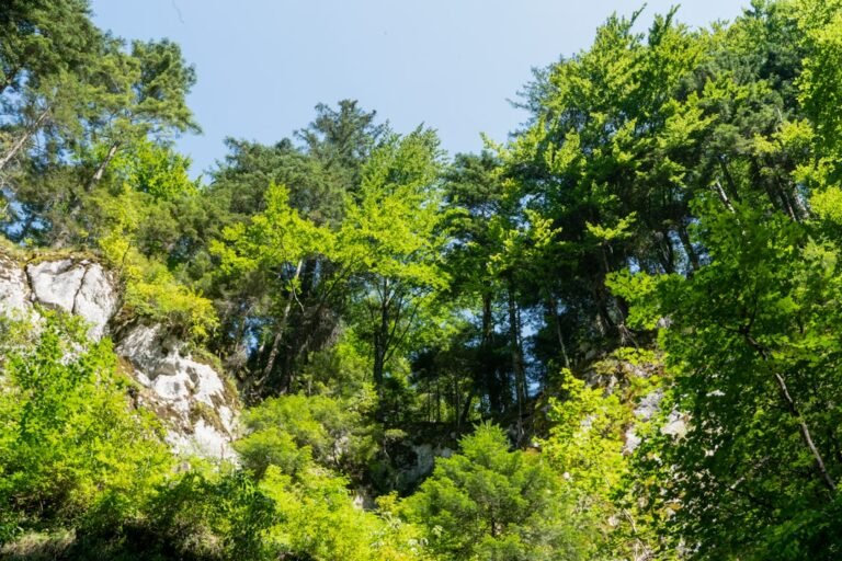 Photo Jura Vaudois Nature Park guide