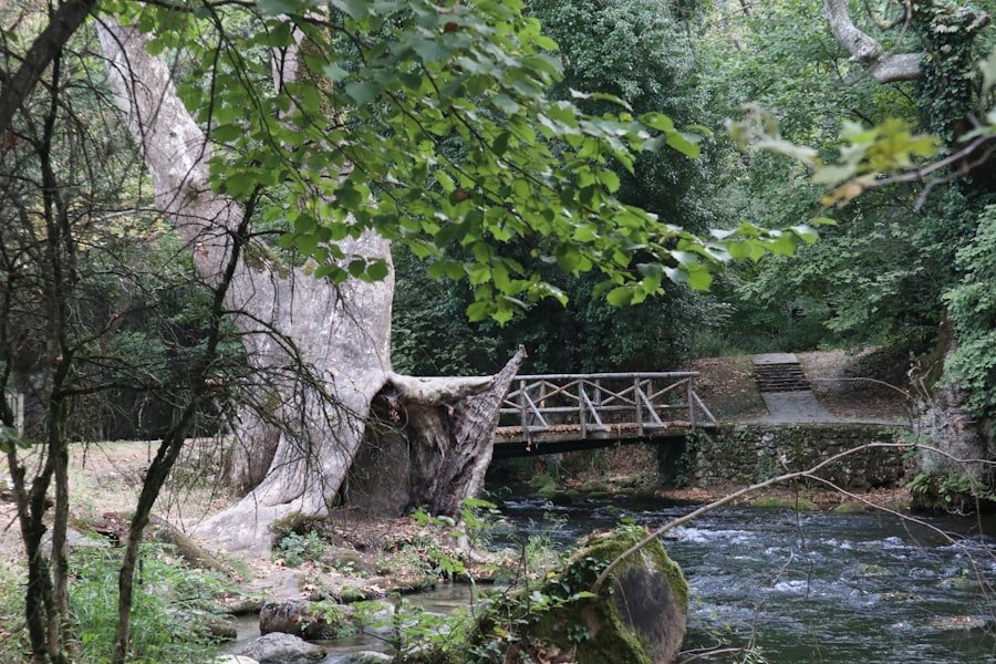 Photo Jura Vaudois Nature Park guide