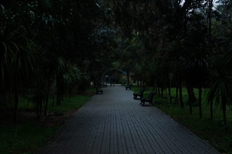 Photo Parc Ela guide