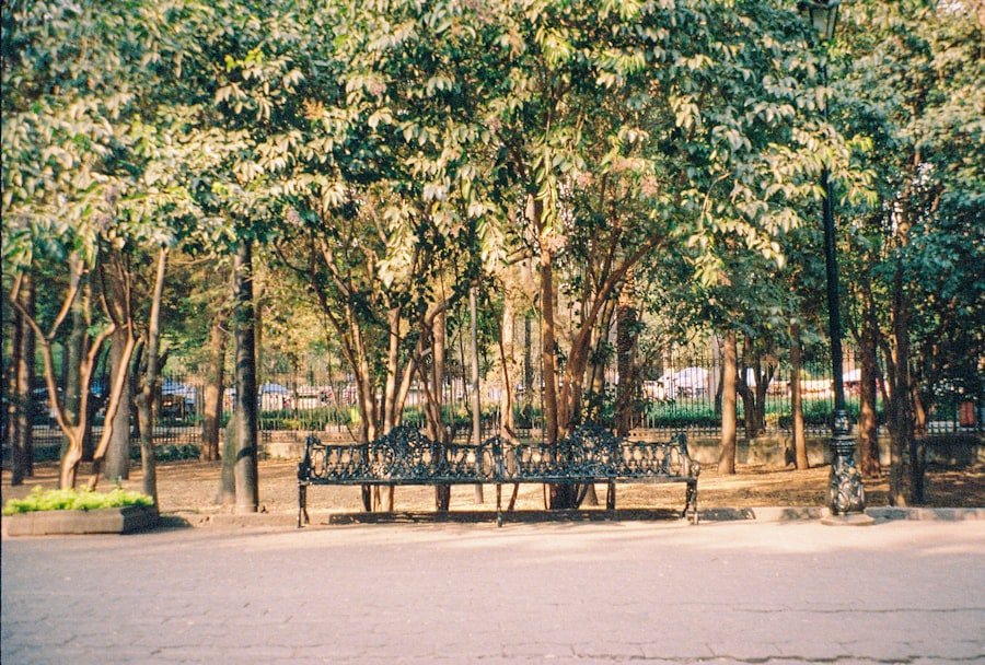 Photo Parc Ela guide