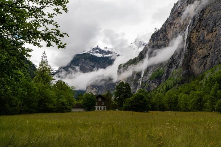 Photo Swiss National Park guide
