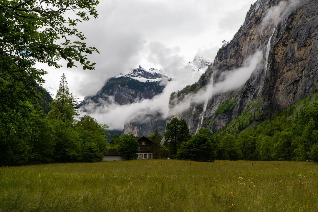 Photo Swiss National Park guide