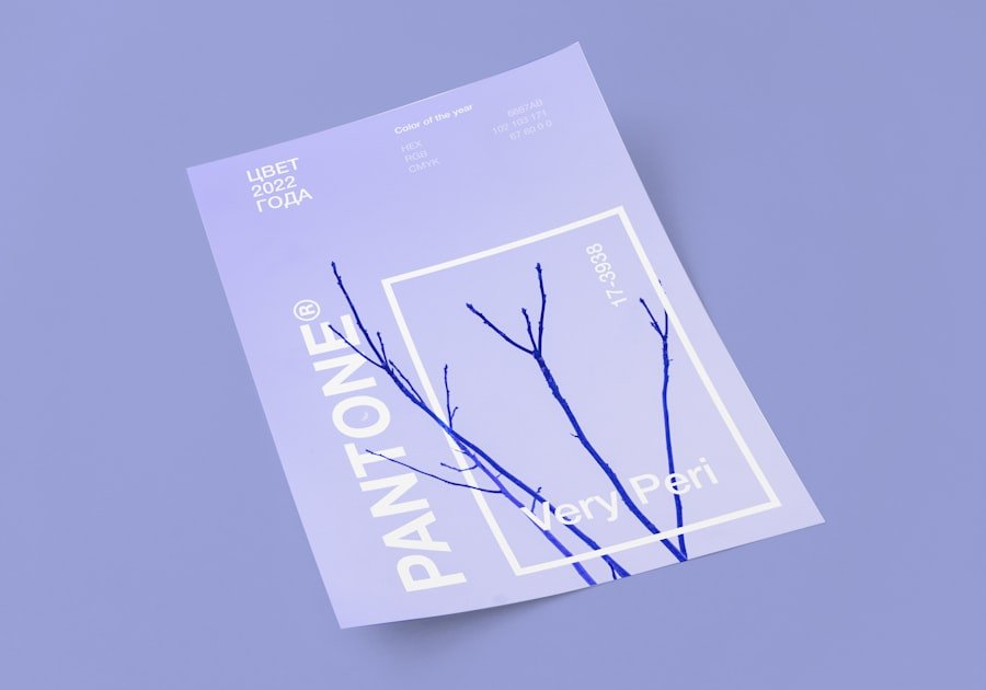 Photo Arosa line guide